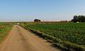3de Follow the leader-Herfstrit- (157)
